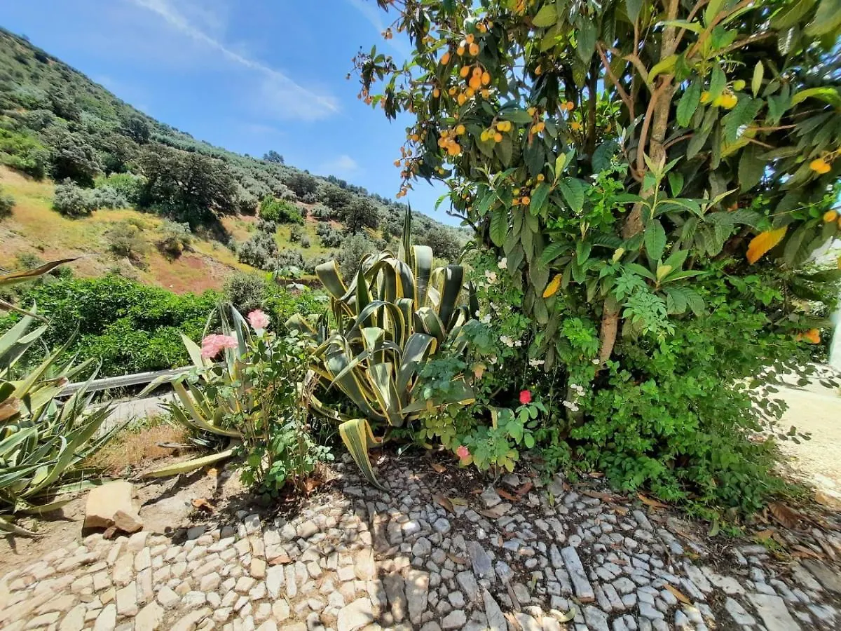 Casa Arroyo - Rosa&Nispero Villa Iznájar