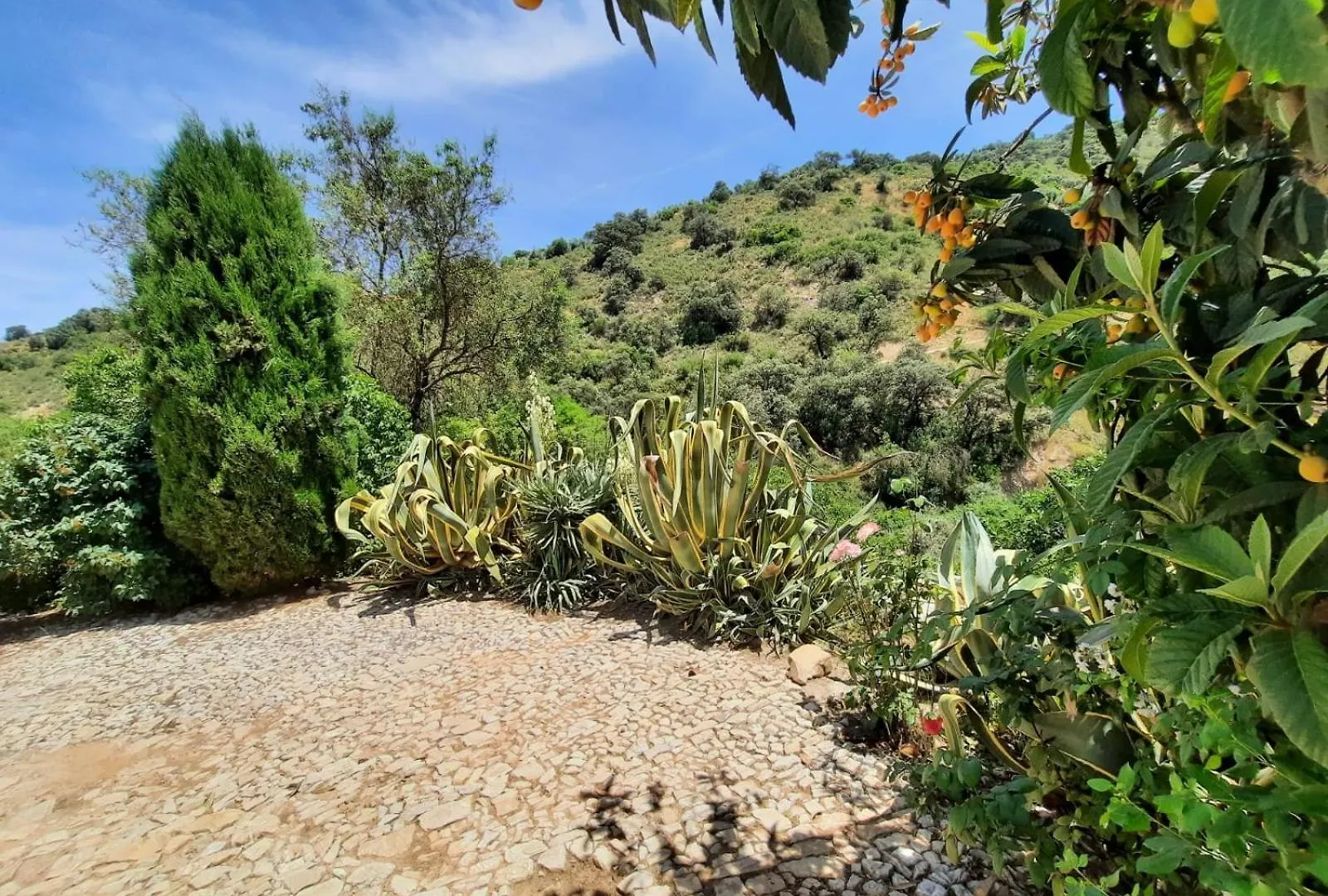 Holiday home Casa Arroyo - Rosa & Nispero Villa Iznajar